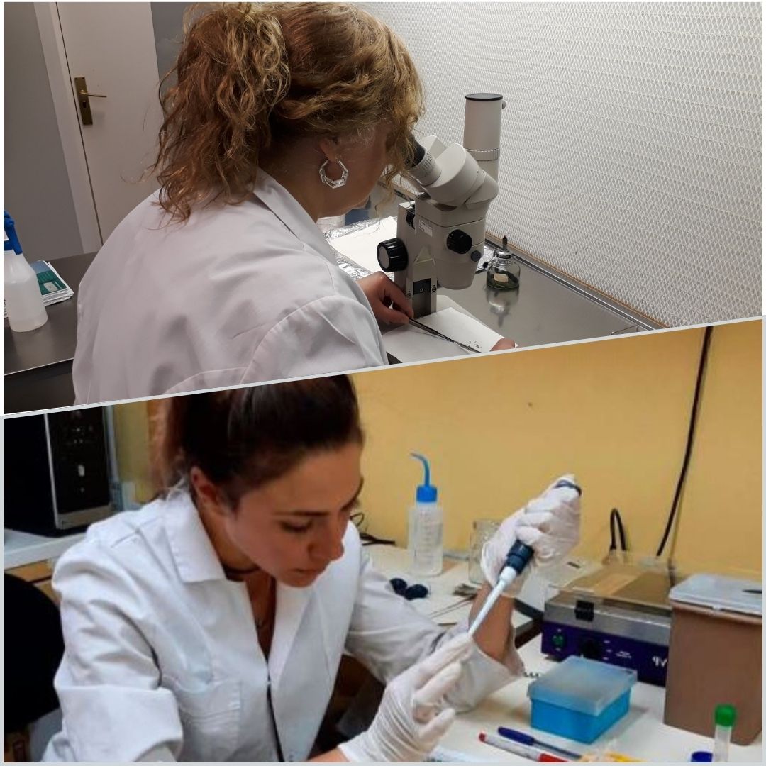 CIEFAP integra la nueva Red Iberoamericana de Investigación en Polisacáridos Biológicos