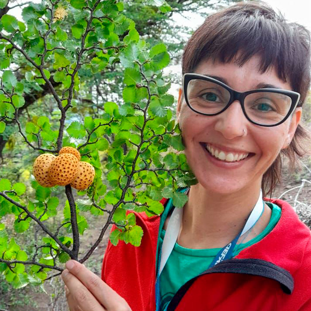 Investigadora de CIEFAP describe nuevas especies de hongos en la Patagonia