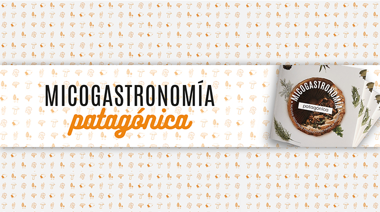 “Micogastronomía Patagónica”, una publicación innovadora sobre gastronomía, ciencia y cultura patagónica