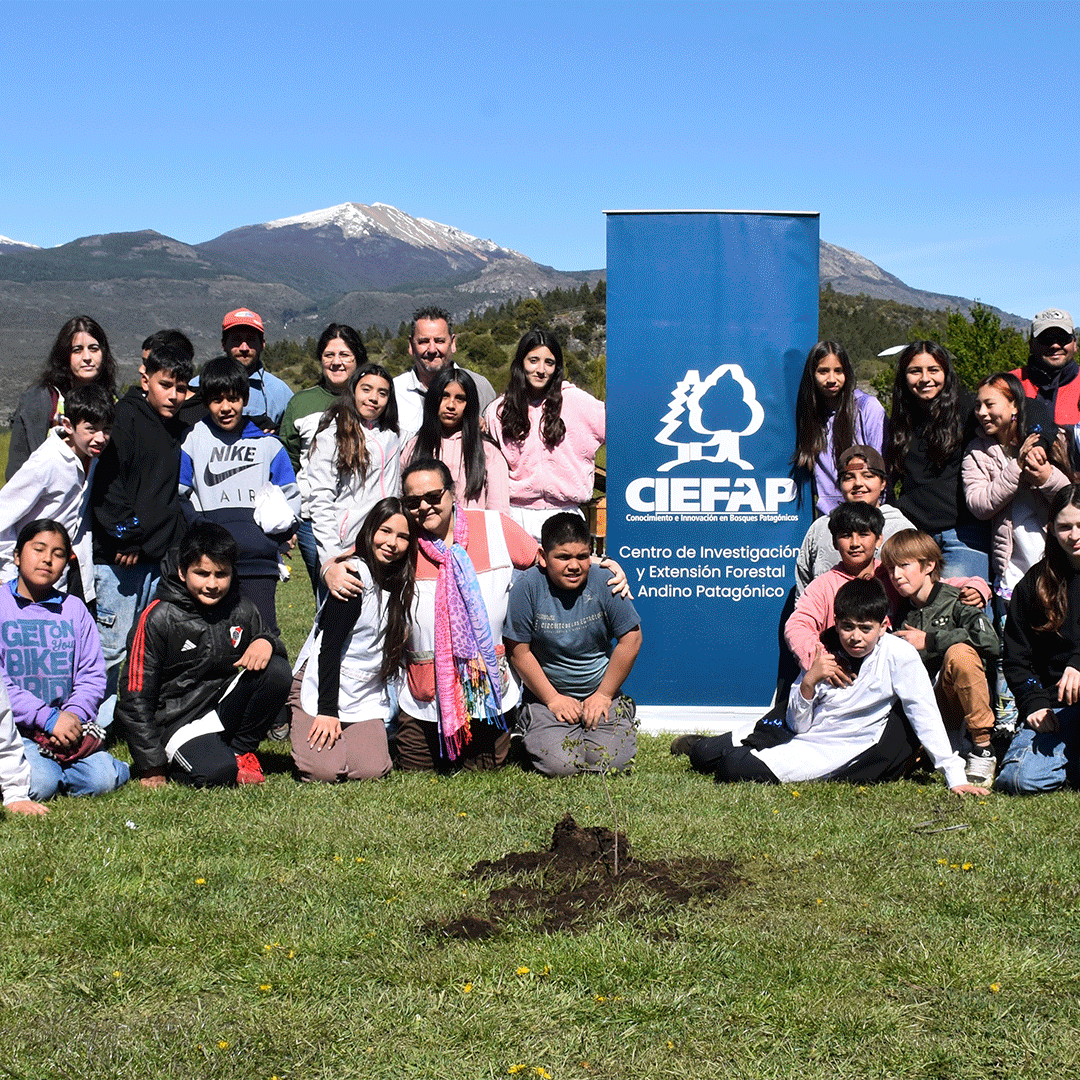 Jornada de plantación de especies nativas en Corcovado
