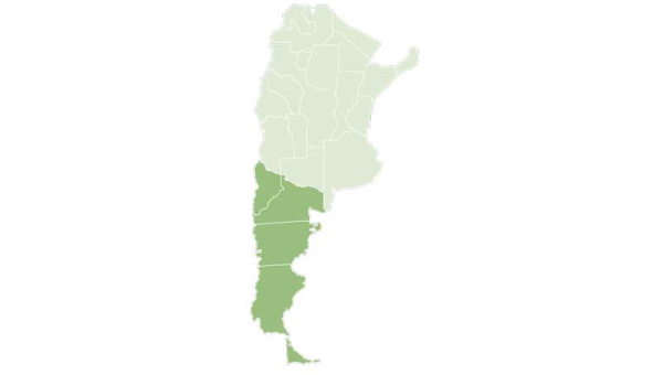 El CIEFAP y la FAO avanzan en la gestión sostenible de los bosques nativos en la Patagonia