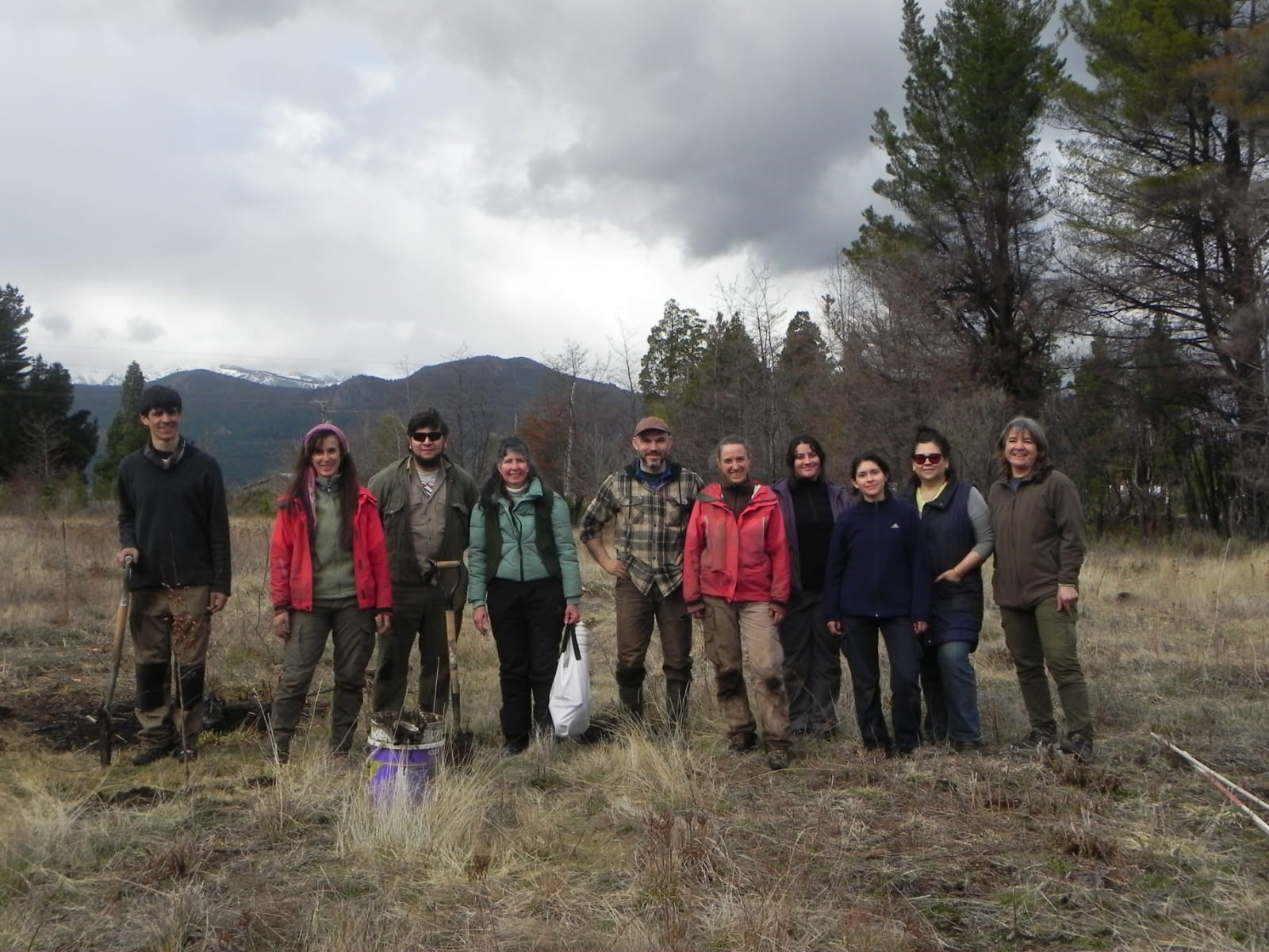Nueva plantación de roble pellín y raulí en Mallín Ahogado