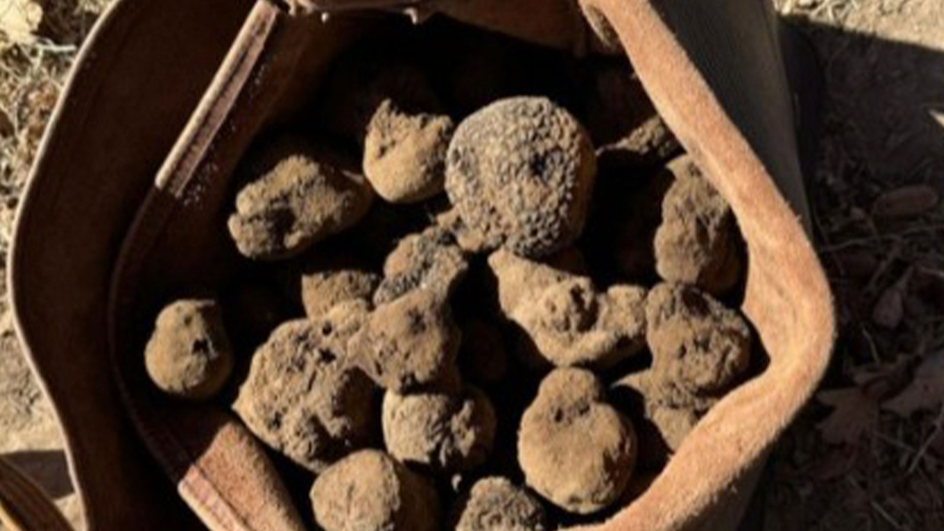 Río Negro impulsa proyecto para identificar áreas con potencial para la producción de trufas